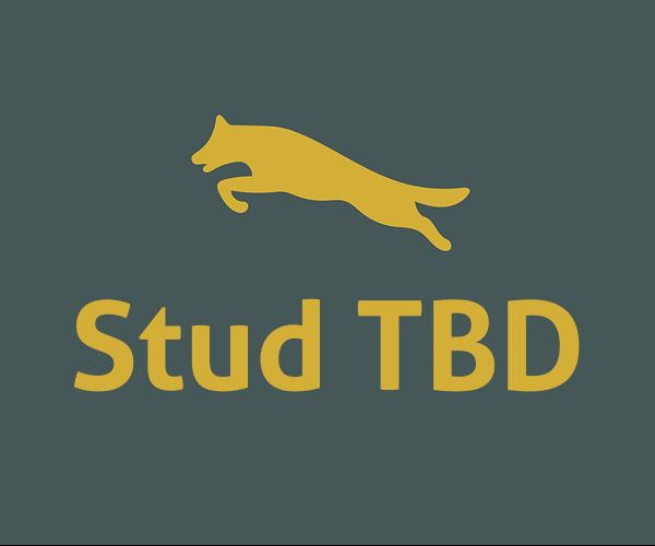 red and black german shepherd male