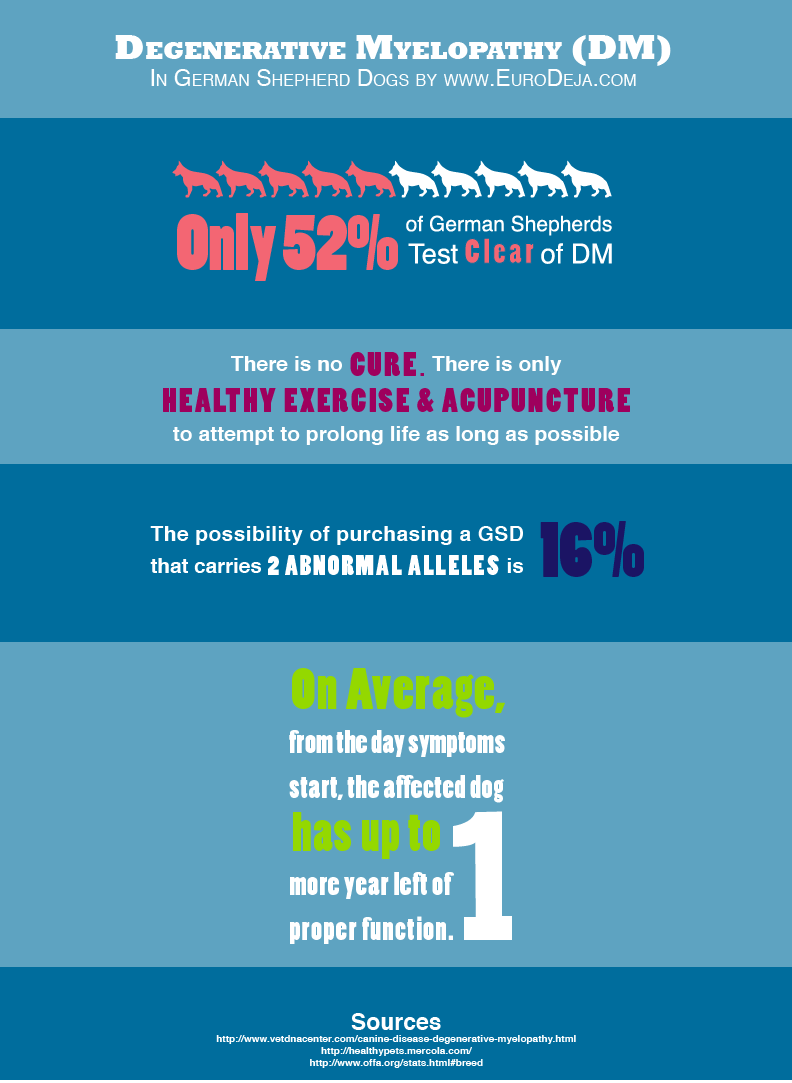 Degenerative Myelopathy (DM) Infograph